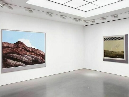 Installation views: Llyn Foulkes. Andrea Rosen Gallery 2, New York October 12 - November 16, 2013. Photograph taken by Lance Brewer, courtesy of Andrea Rosen Gallery  