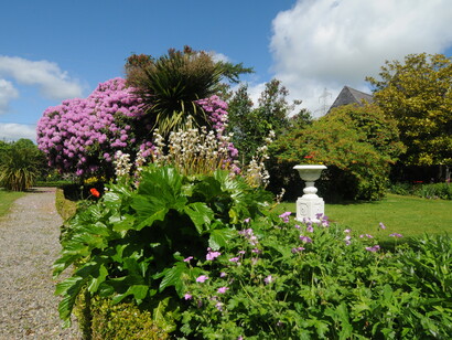 Scorci del giardino Hunter’s Hotel con le fioriture della gialla Azalea mollis e di un rododendro che ha più di 70 anni. Foto di Enzo Valenti