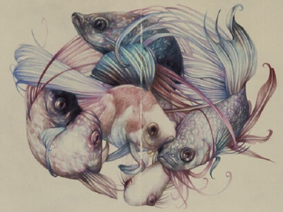 Fish composition