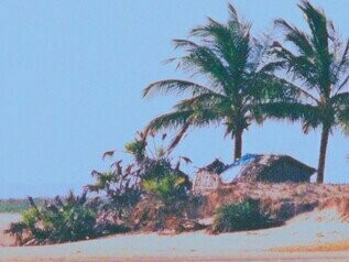 O sol espreguiça-se entre as nuvens enquanto eu retiro os restos de sono dos olhos, do espírito