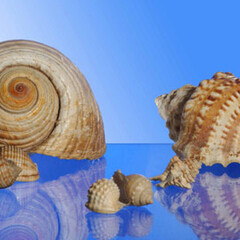 Mediterráneo, naturaleza y civilización. Courtesy of Museo Nacional de Ciencias Naturales