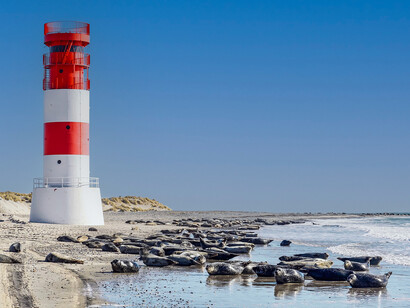 Phare. Ce signal guide les marins depuis plus de 200 ans
