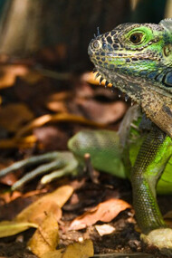 Por eso prefiero la ciudad...