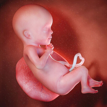 El canal de parto es nuestro primer viaje iniciático: desde la tiniebla uterina hasta la luz