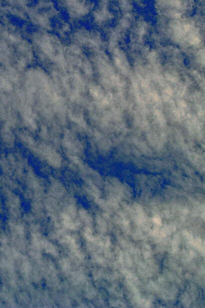 Sintonia com o céu: em um ato de auto acolhimento e contemplação, a paisagem se transforma sob os raios do sol, envolvendo o céu e a vegetação em harmonia