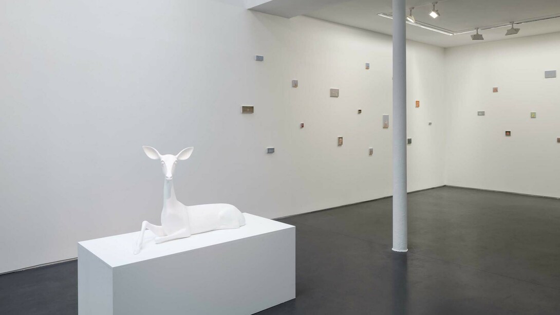 Miguel Branco, Spectres, Exhibition view. Courtesy of Jeanne Bucher Jaeger