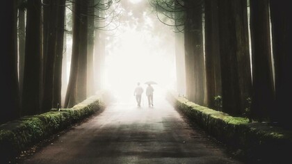 A dilemma posed on those who face a near-death experience whether to go towards the light or to remain