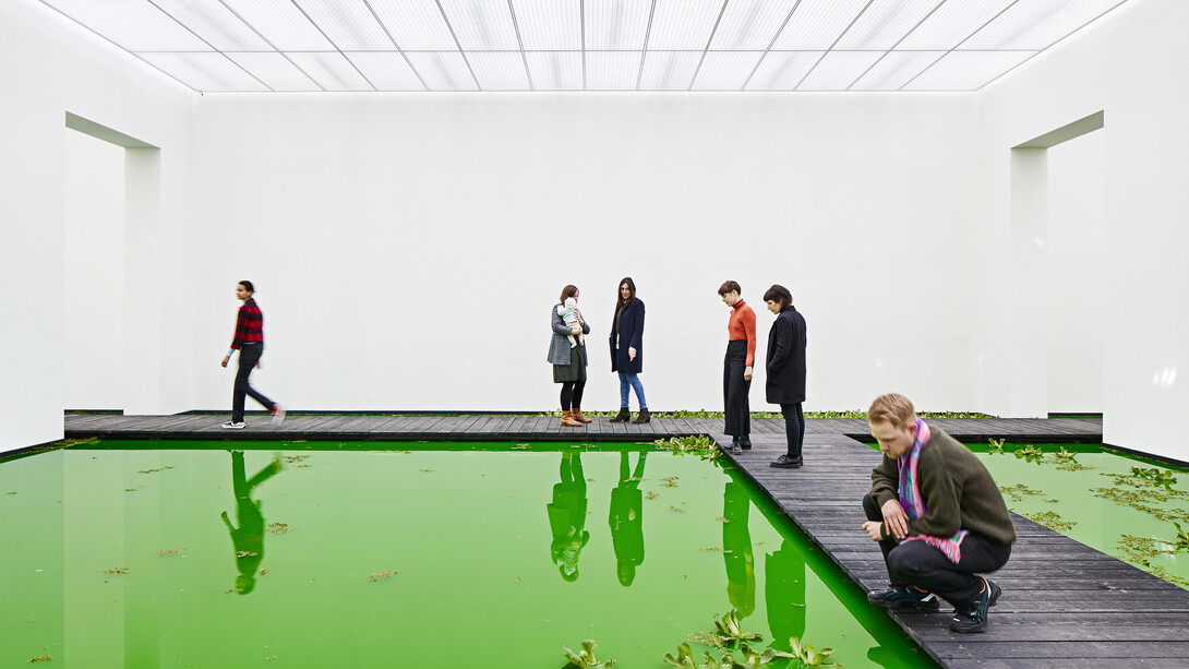 Olafur Eliasson, Life, installation view. Photo by Mark Niedermann
