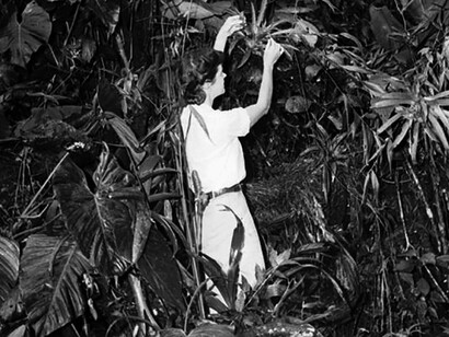 Jocelyn Crane explorando en la jungla