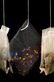 As ervas. A família Firinfinfim era composta pelo senhor Pallo Santo, dona Losna e seus quatro filhos: Baunilha, Funcho, Erva Espirradeira e Cravo