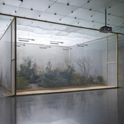 Precious Okoyomon, One either loves oneself or knows oneself, ansicht der ausstellung. Mit freundlicher genehmigung von Kunsthaus Bregenz