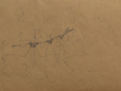 Willie Young, Untitled, 2001. Graphite on Paper. 11 ¾ x 29 ¼ inches