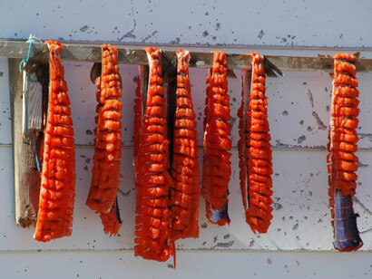Canada Goose Arctic Gallery. Courtesy of Canadian Museum of Nature