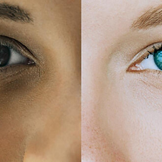 Race: Are we so Different? Courtesy of Science Museum of Minnesota