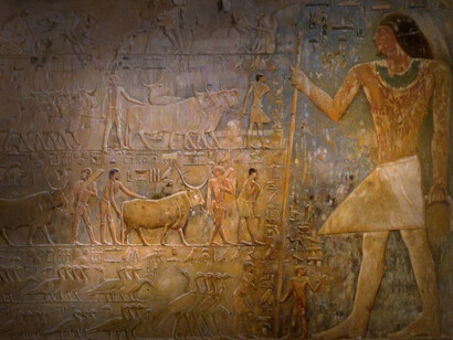 Decoración interior de la tumba de Ptahhotep