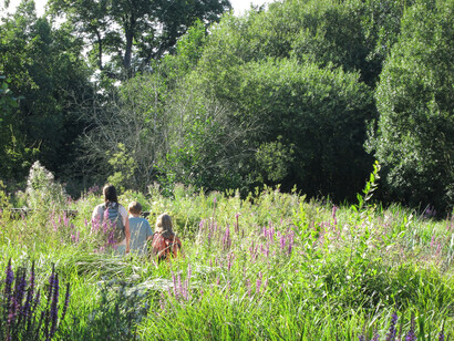London Wetland © Gehan de Silva Wijeyeratne