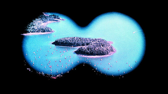Untitled (Island), Piotr Uklański, (Polish, born Warsaw 1968), Date: 1997, printed 2013, detail