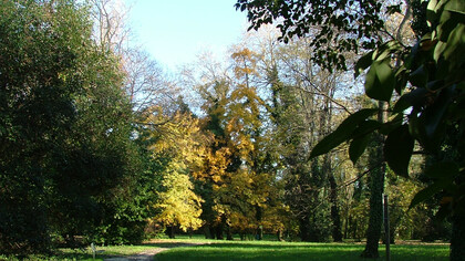 Il Parco dei Faggi dove era l'antica sede di Sgaravatti Sementi