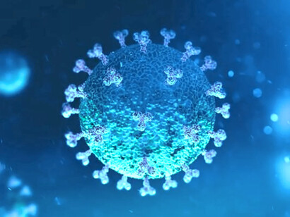 Virus SARS-CoV