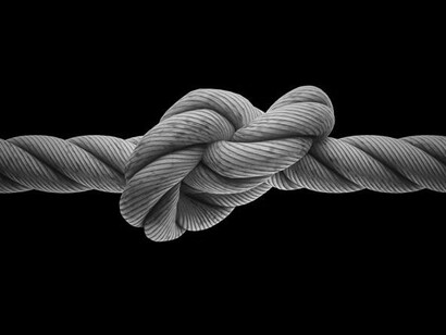 Physical stress makes us stronger