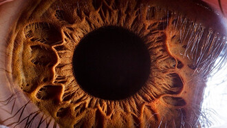Eye Closeup by Suren Manvelyan