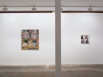 William Daniels, 2014, Vilma Gold, London, Installation View, Courtesy Vilma Gold, London