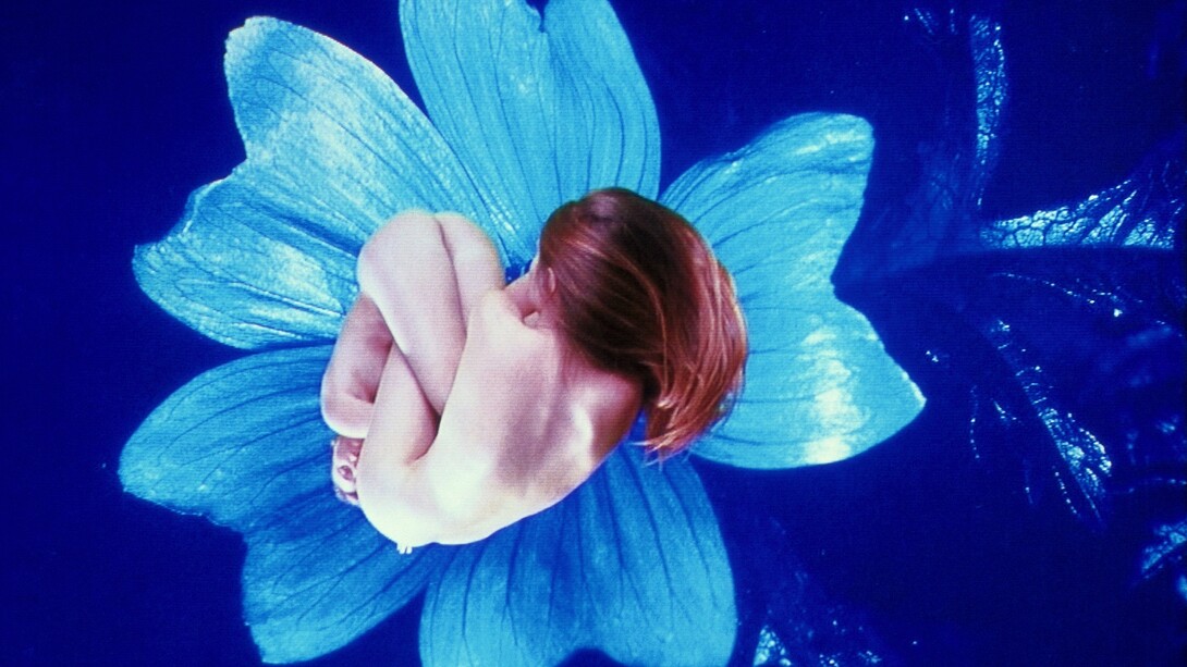 Pipilotti Rist, Courtesy Homo Sapiens, 2005, Still from video, Audio video installation, changing sizes, music by Anders Guggisberg & Pipilotti Rist, Courtesy the artist; Hauser & Wirth