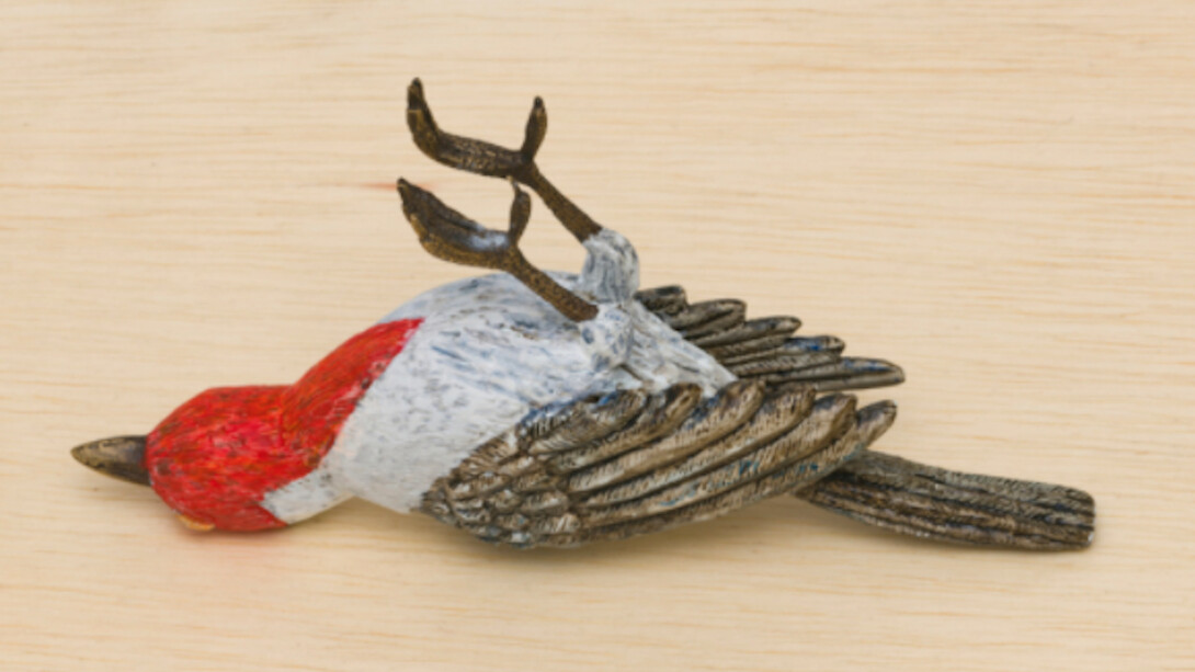 Instances of Seeing, Exhibition view. Courtesy of Fortes D’Aloia & Gabriel