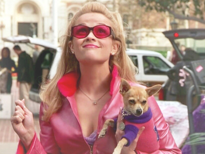 Fotograma del filme «Legally Blonde», basado en la novela de Amanda Brown