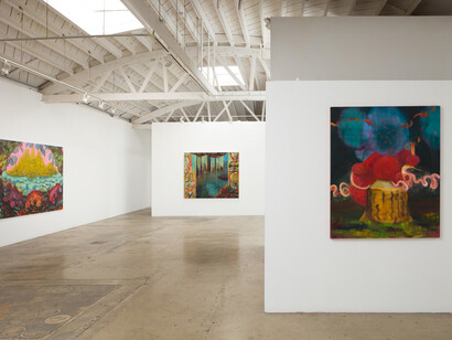 Alexandra Wiesenfeld. Courtesy of Klowden Mann