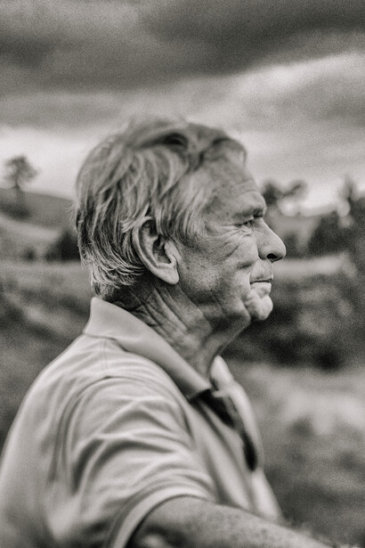 Ciclo da vida: senectude