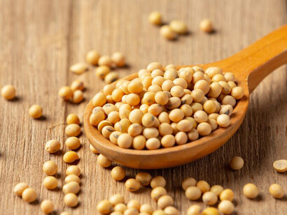 A diverse range of soy milk, soy-based foods, and beverage products for a nutritious and sustainable diet