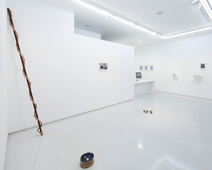 Satoshi Hirose, Exhibition view. Courtesy of Tomio Koyama Gallery