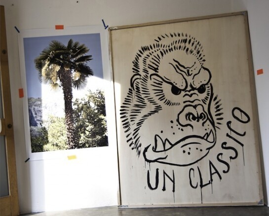 Dido Fontana, Palestra, Exhibition view, 2015, Stay Strong (Z), Boccanera Gallery