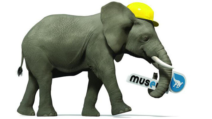 Museum Renovation. Courtesy of Royal Belgian Institute of Natural Sciences
