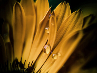 Las brujas nunca se fueron realmente. Estuvieron ahí, en cada mujer que se animó a soñar, a sanar y a transformar su vida