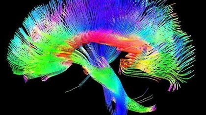 Main goal of the Giga Society is to further the establishment of mental ability test norms in the very high range