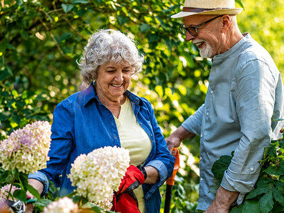 Senior couple gardening together on a sunny day, embracing an active lifestyle and enjoying the benefits of outdoor activity