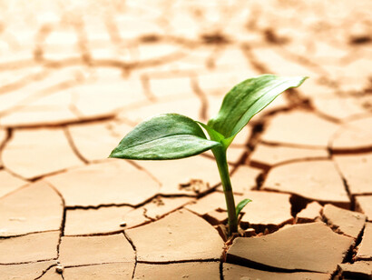 Resiliência ou força