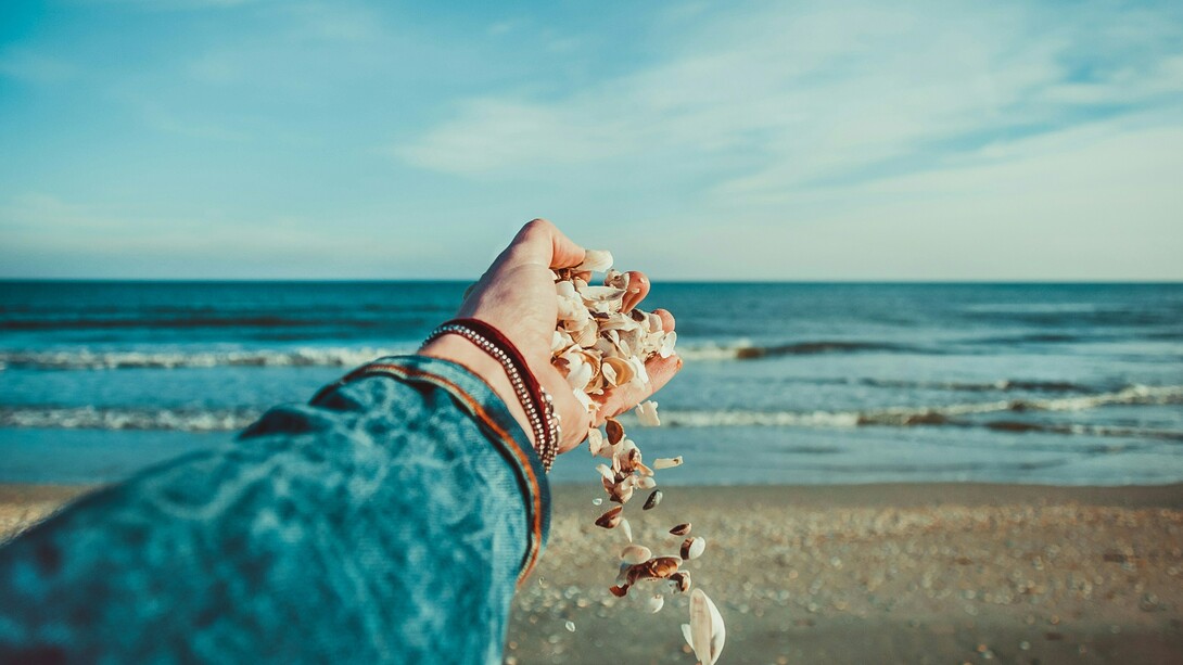 Conchiglie. Il mare come metafora della verità: una storia di introspezione e rivelazioni