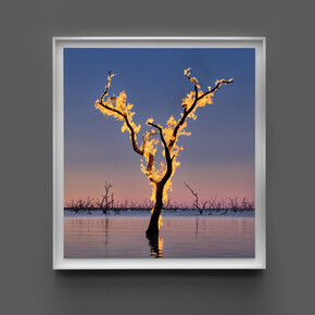 Murray Fredericks, Blaze #17, Lake Pamamaroo, Menindee, 2022, pigment print mounted to aluminium, 100x92cm, edition of 25+2AP
