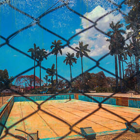 Rabbits, Rats & Cats. Courtesy of Benrubi Gallery