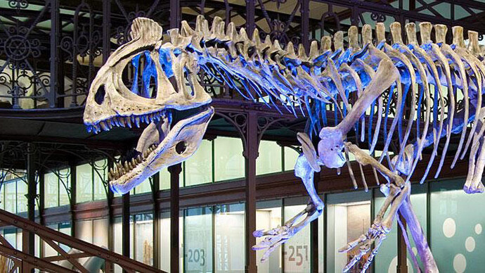 Galerie des Dinosaures. Courtesy of Royal Belgian Institute of Natural Sciences