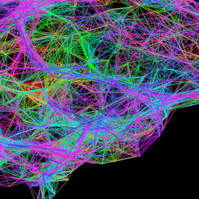 Brain: The Inside Story. Courtesy of Canadian Museum of Nature