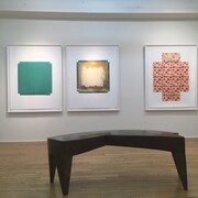 Linda Lindroth. Trickster in Flatland. Courtesy of Garvey|Simon