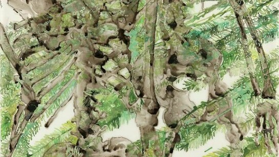Katina Huston, Evergreen, 2013 I Ink on mylar I 36 x 42 inches