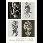 Son. Imprints and figurations in Valls d’Àneu. Courtesy of Museu Nacional d'Art de Catalunya