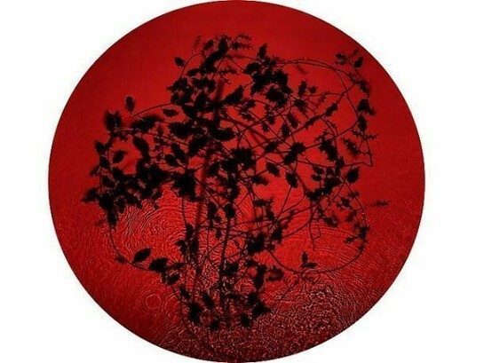 Susan Derges, Holly, 2013, 24" x 24"