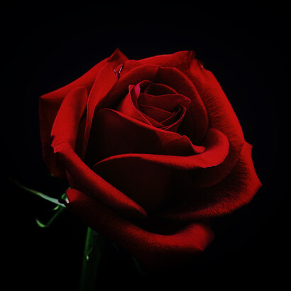 Grab your sweetheart and head down to a blood donation center