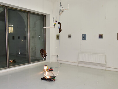 Alice Morey. Courtesy of The Ryder Projects